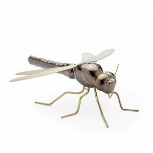 Fauna Dragonfly