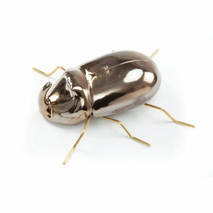 Fauna Rhinocerus Beetle